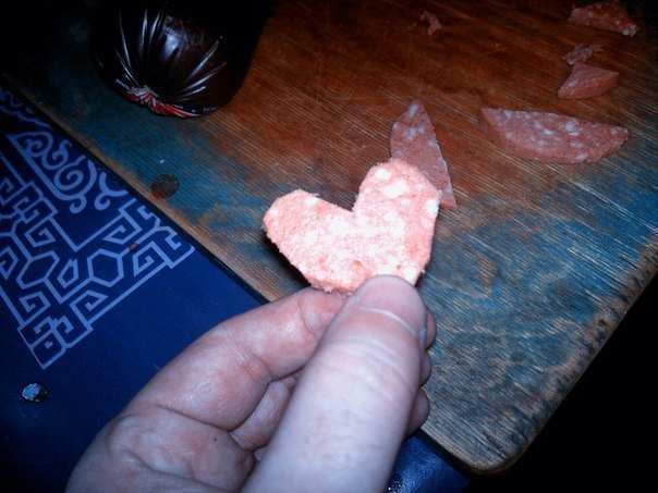 Любви длостоин только кот