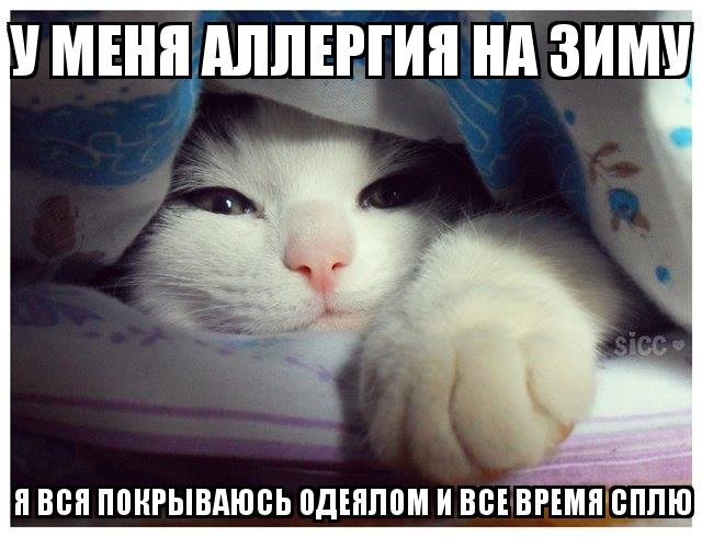 Когда там уже весна??