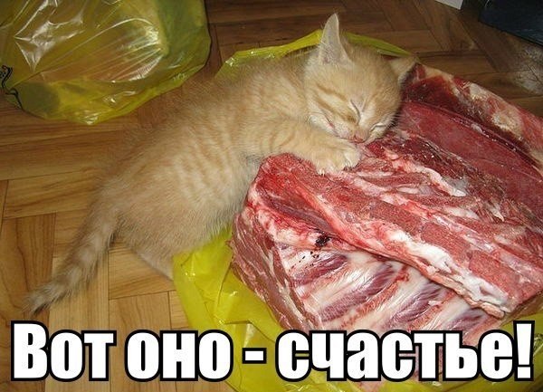 Счастье есть на этом свете