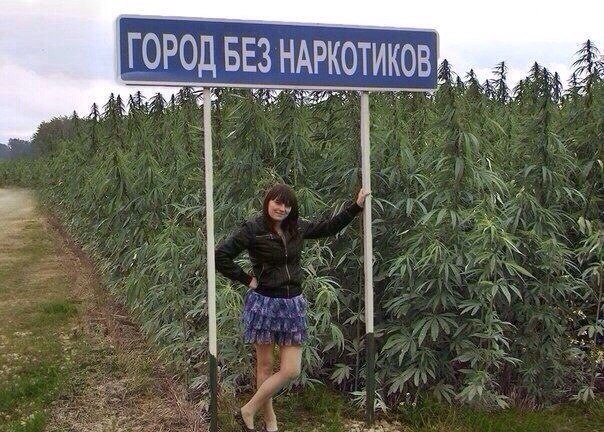 Фото с коноплей смешные задержаны с марихуаной с казахстана