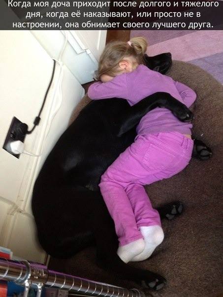 Собака - лучший друг