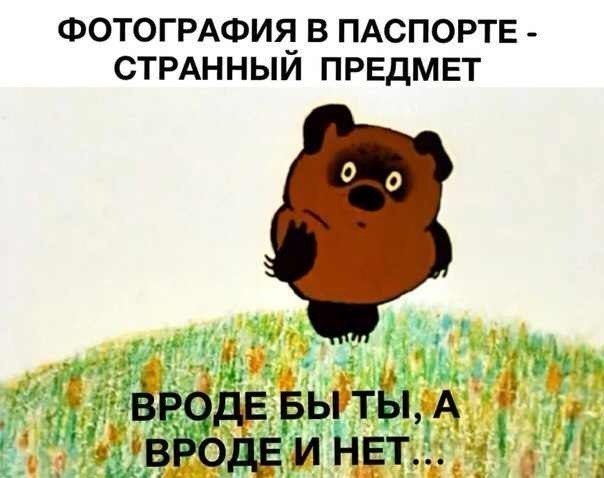 Картинка про фото в паспорте