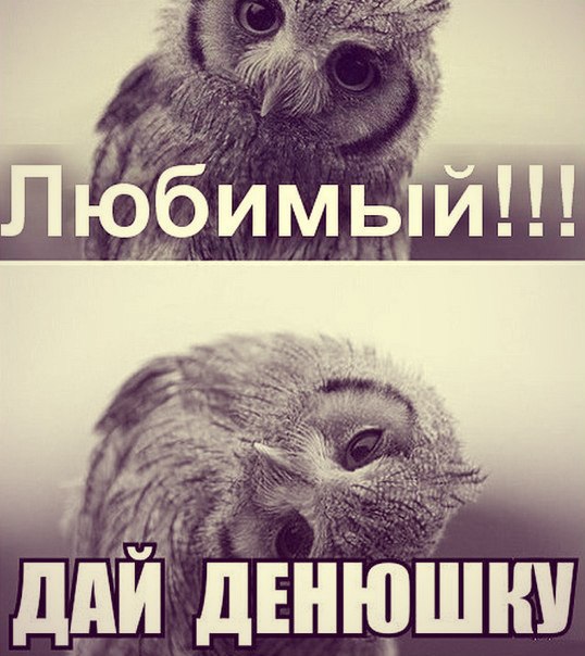 Мимимишное фото с любимой