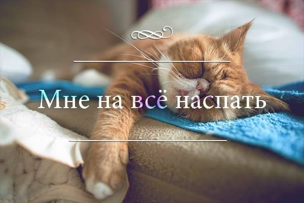 Утро, оно такое сонное