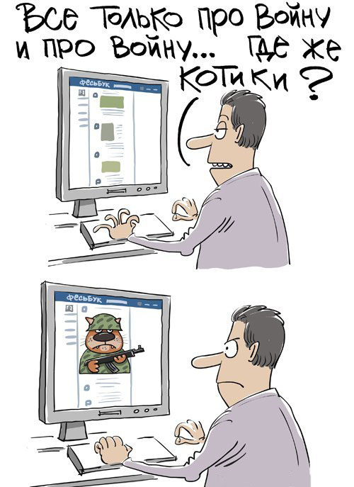 В последнее время совсем нету котиков