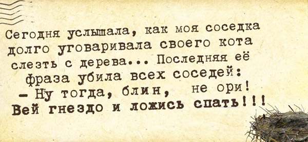 Интересные картинки с текстом