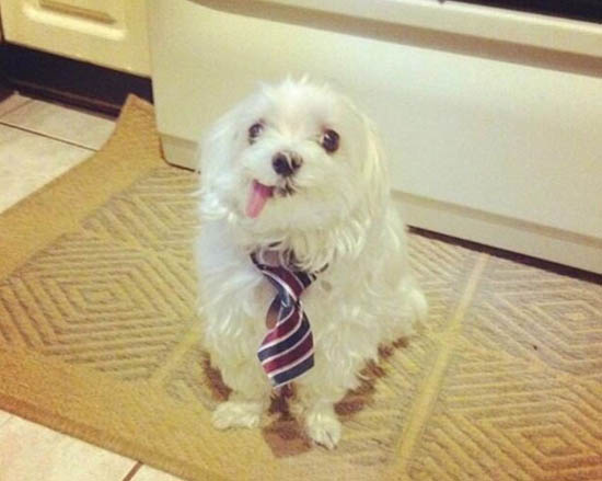 Фотогеничность зашкаливает