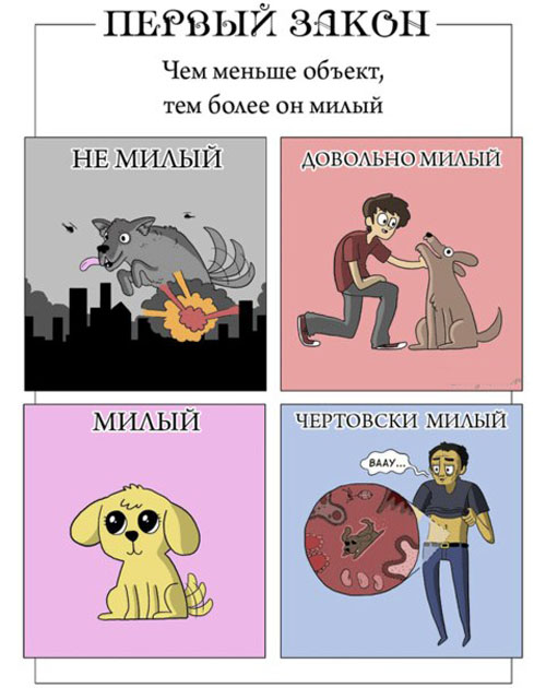 Законы мимишности в картинках