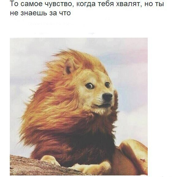 Прикол про странное чувство