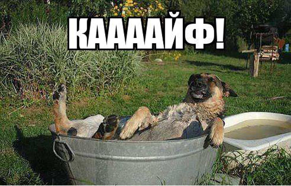 Вы работайте-работайте, а я пока покайфую