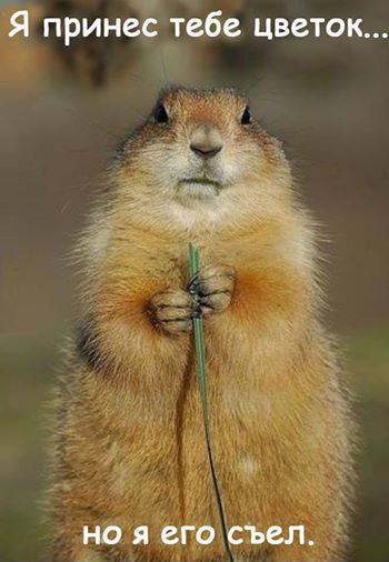 Я принес тебе букетик...