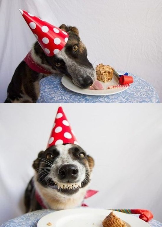 День Рождения - это всегда праздник!