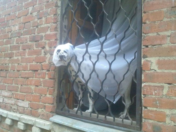 Красавица жениха ждёт