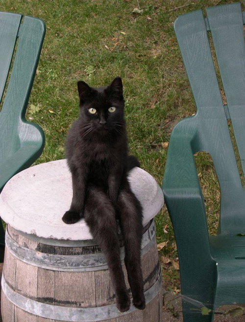 Томная женщина в ожидании вечера