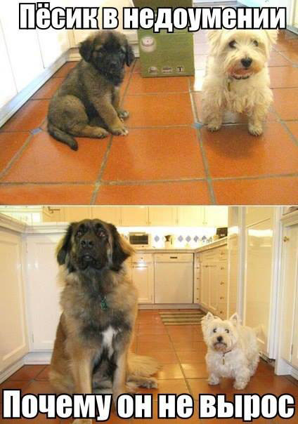 Малыш забыл съесть растишку