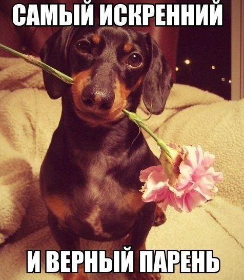 Мимишный парень