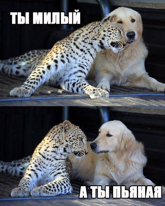 Милое фото с няшками