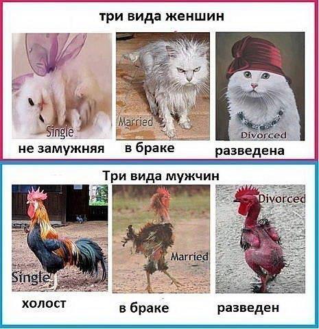 Класификация мужчин и женщин