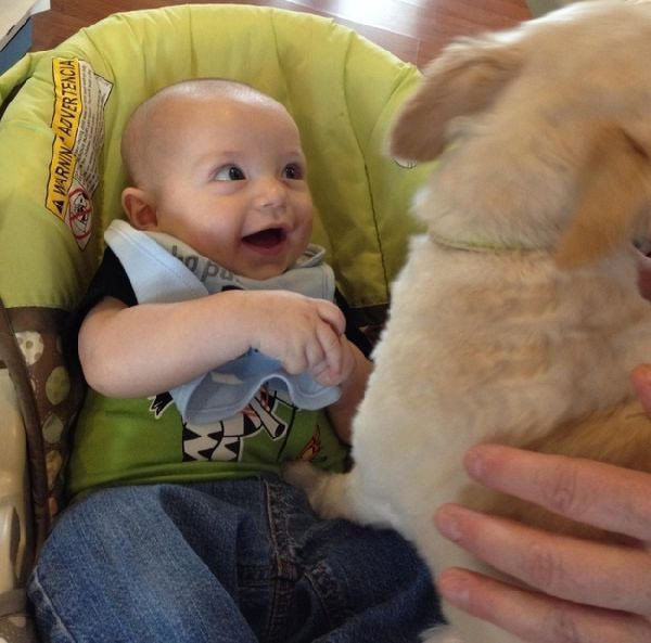 Мимимишные снимки малышей с собачками