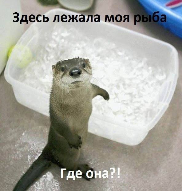 Обидеть маленького может каждый !!