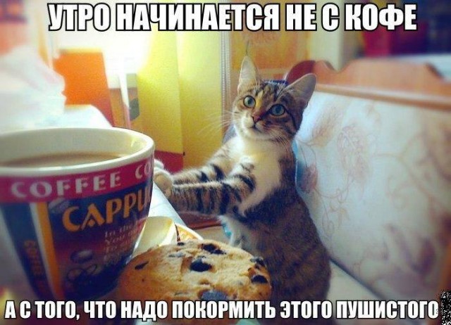 Утро начинается не с кофе