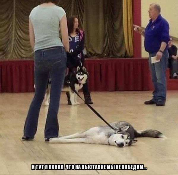 И тут я понял, что нам не победить