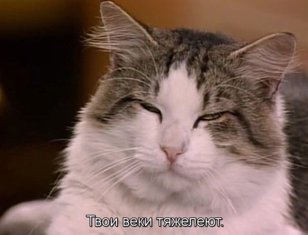 Теперь ты бублик!