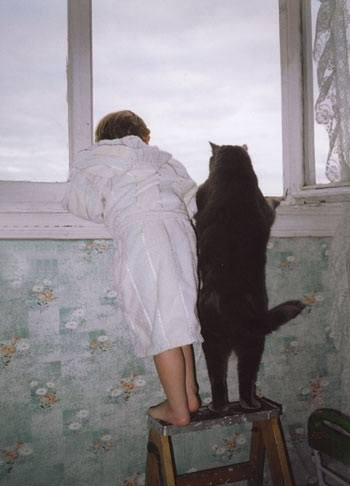 Кот Бегемот и малыш в ожидании вкусняшек