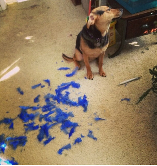 Это не я! я только мимо проходил