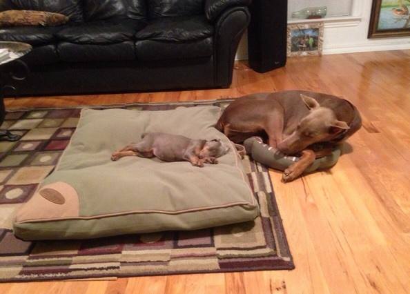 Для ребенка ничего не жалко