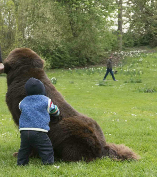 С таким другом ничего не страшно