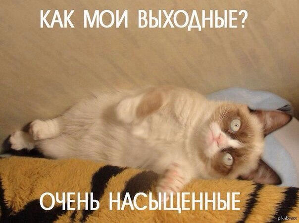 Выходные анекдоты новые фото Выходные анекдоты новые фото