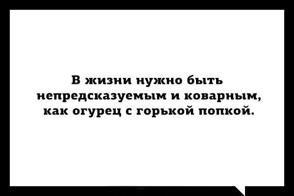 Картинки со смыслом прикольные и смешные