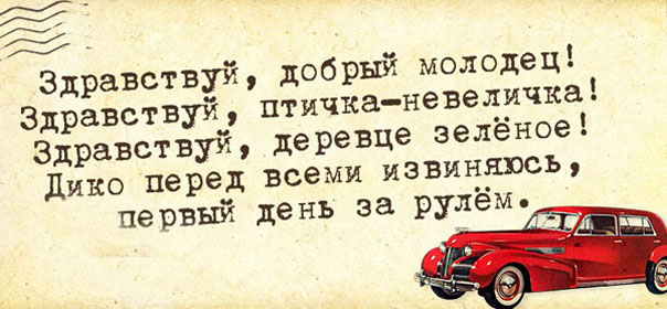 Весёлые картинки с текстом