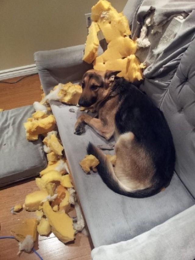 Я просто мимо проходил