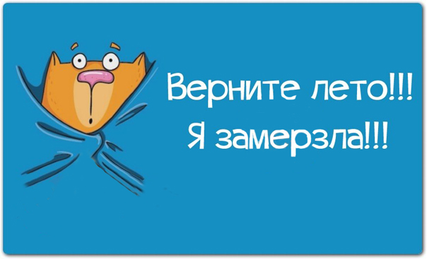 Весёлые картинки с текстом