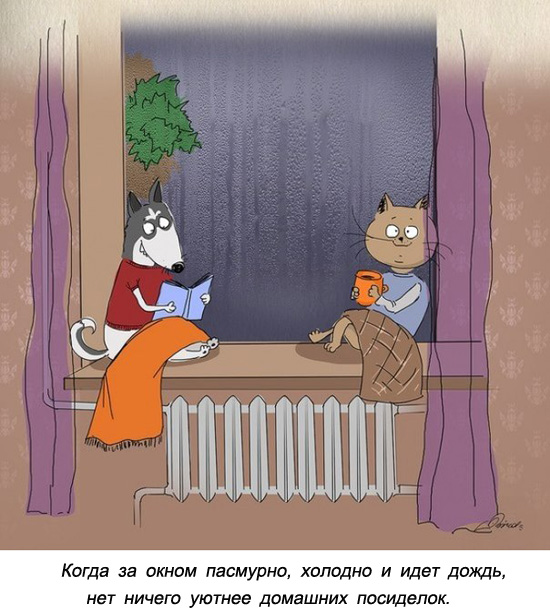 10 очаровательных причин любить осень