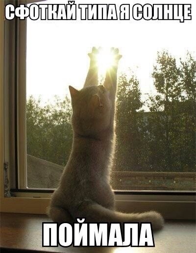 Сфоткай типа я солнце поймала