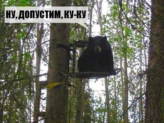 Ну, допустим, ку-ку