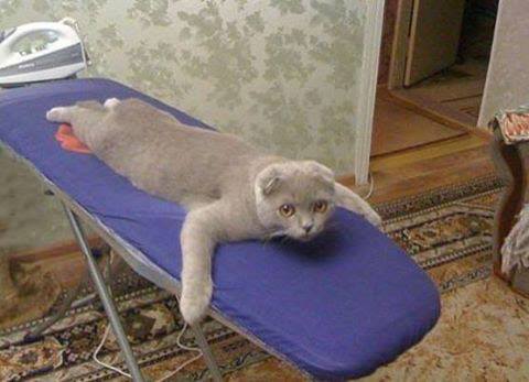 Гладь меня полностью