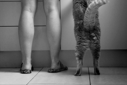 Прикольные фото