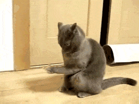 Когда видишь свою зарплату...