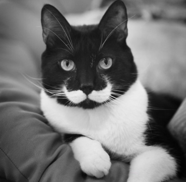 У природы отличное чувство юмора