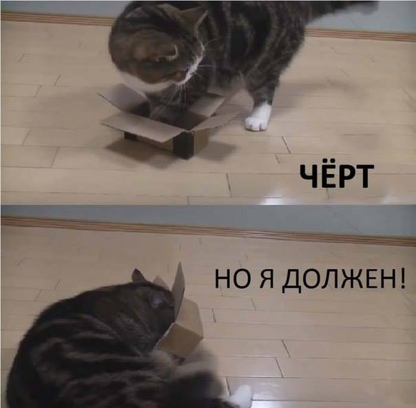 О, нет! только не это!