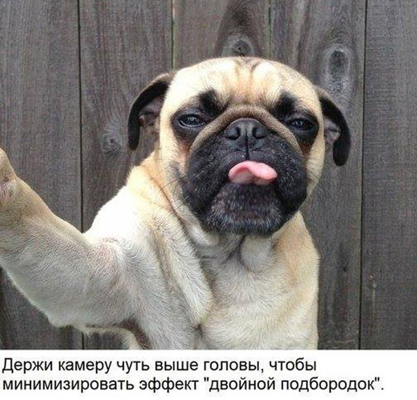 Как сделать идеальное селфи