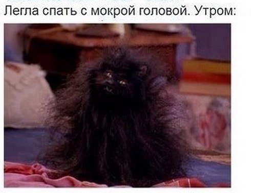 Лягла спать с мокрой головой