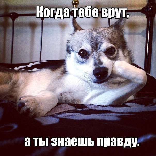 Ну-ну, давай рассказивый