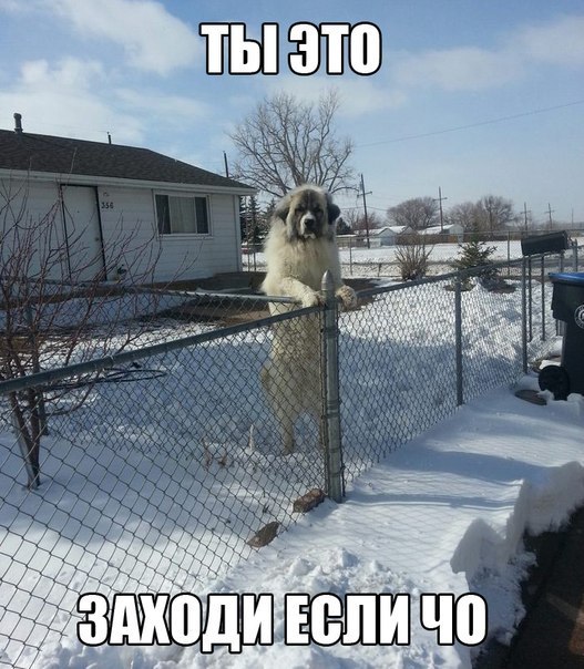 Ну ты, это... Ты заходи, если что...