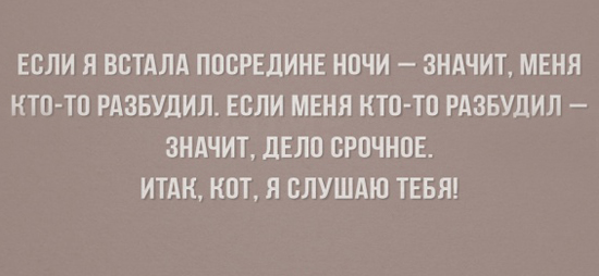 Милые афоризмы в картинках