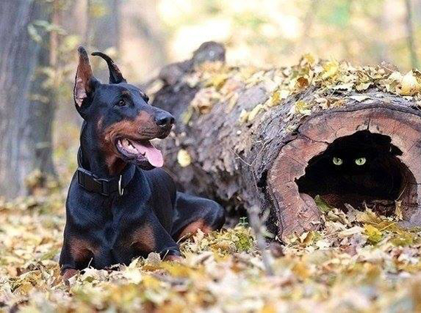 Зло не дремлет